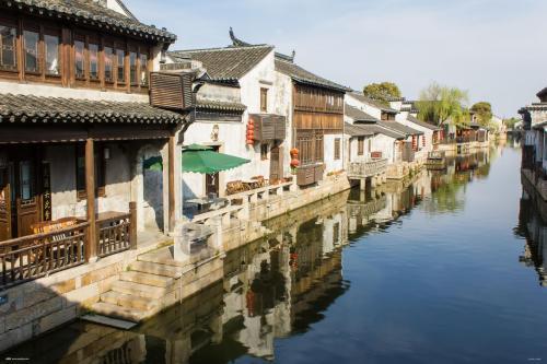动物帮帮忙保卫家园