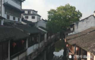 小艾比摄影家
