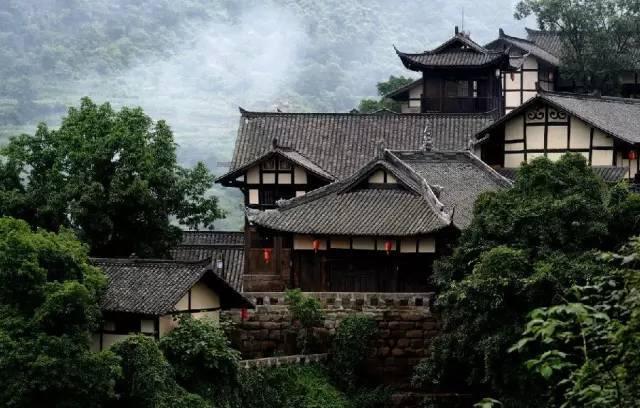 河北任泽:特色农业种植助力乡村振兴
