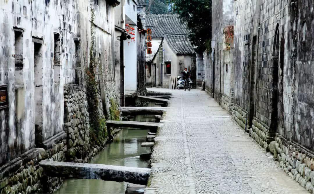 红色鹦鹉逃脱