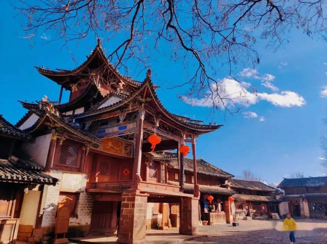 动物帮帮忙保卫家园