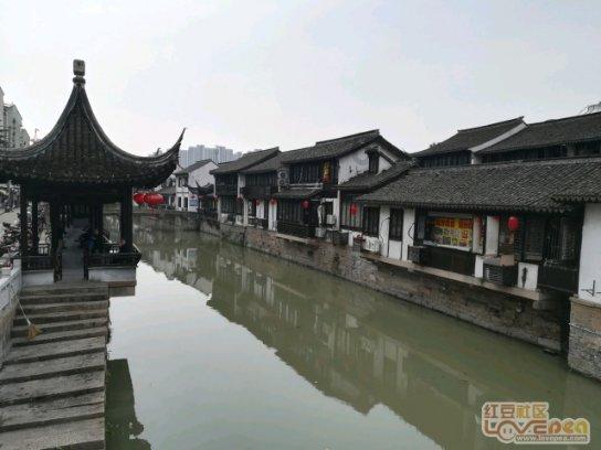 燃烧吧大脑免广告最新版