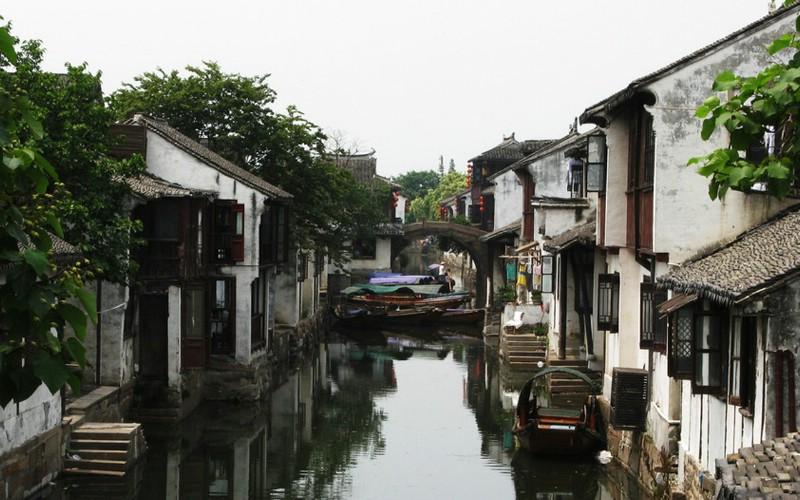 动物帮帮忙保卫家园