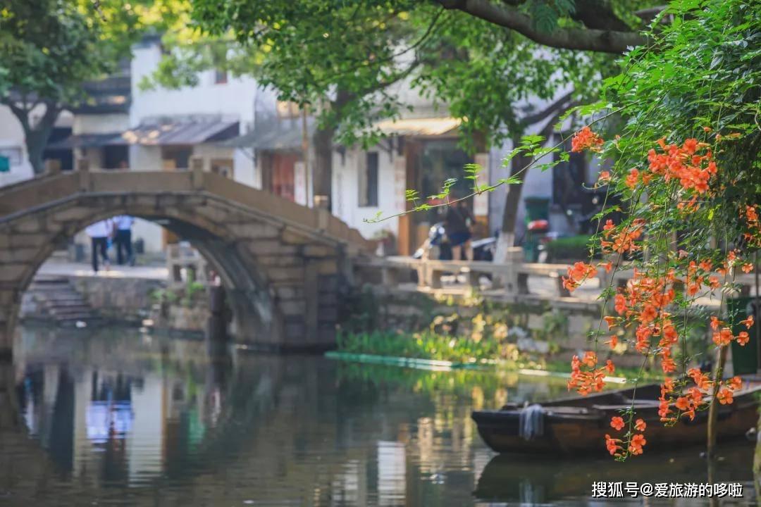 抗辐射，喝茶有用吗？