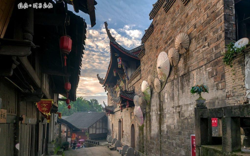 动物帮帮忙保卫家园