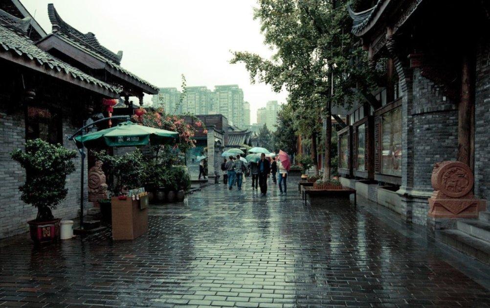 动物帮帮忙保卫家园
