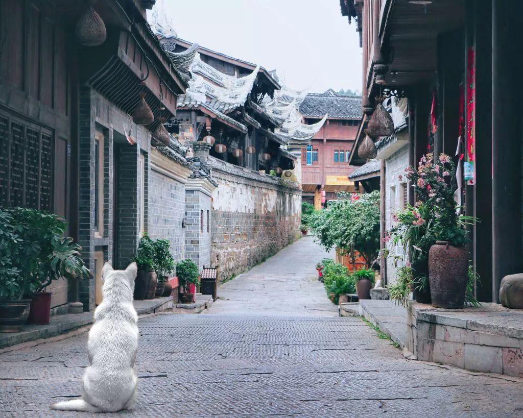 次元喵