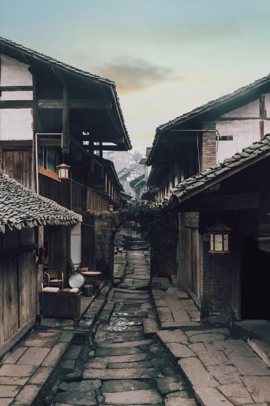 美人鱼的聚会
