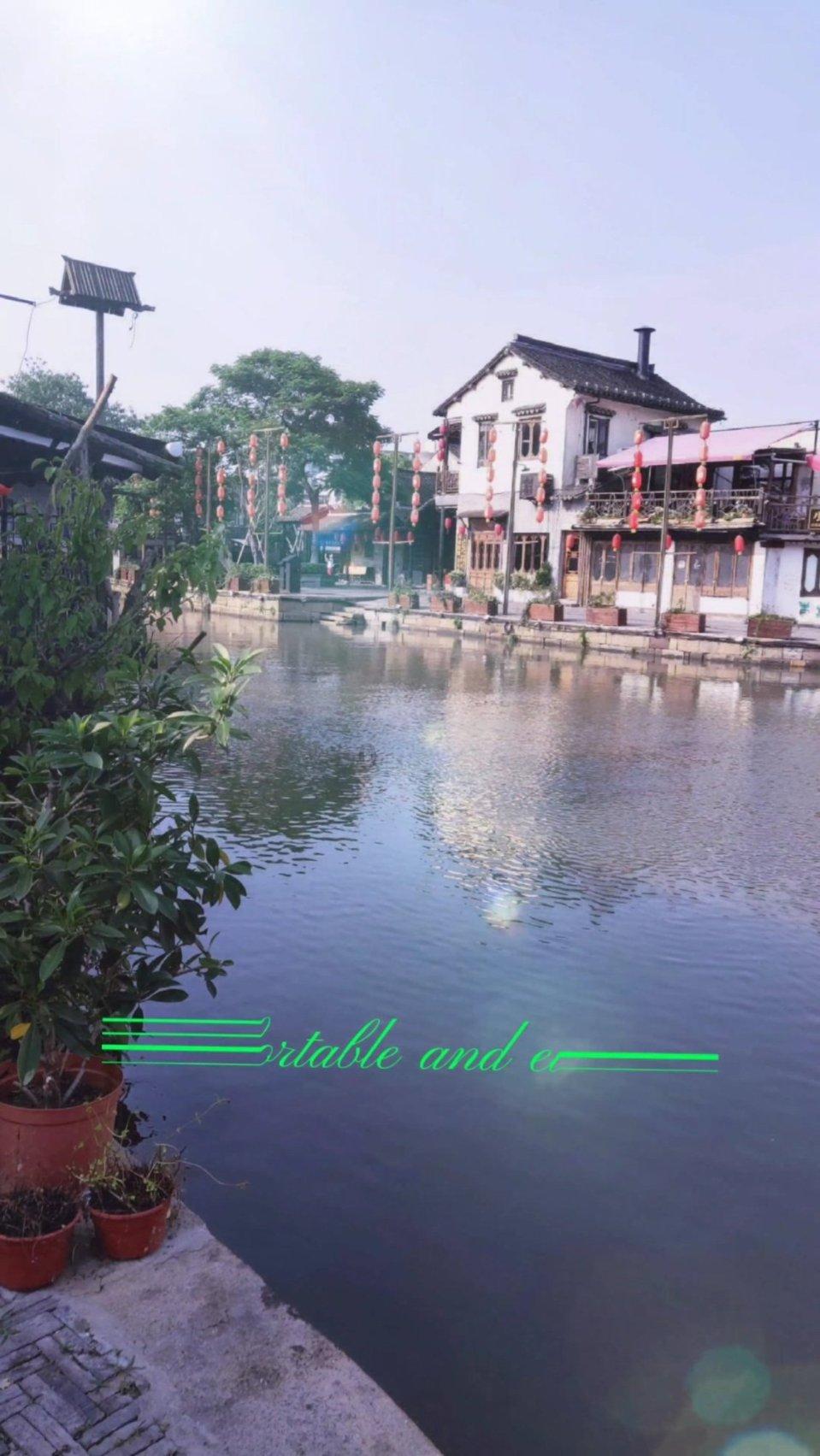 拯救精灵的土地6