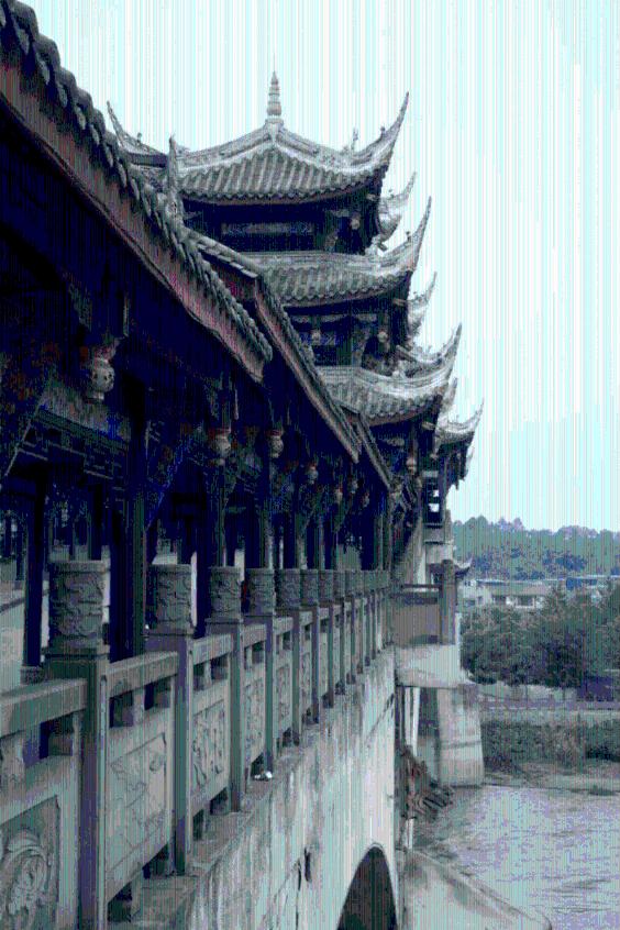 泡沫森林