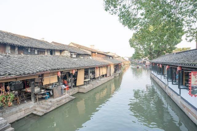 动物帮帮忙保卫家园