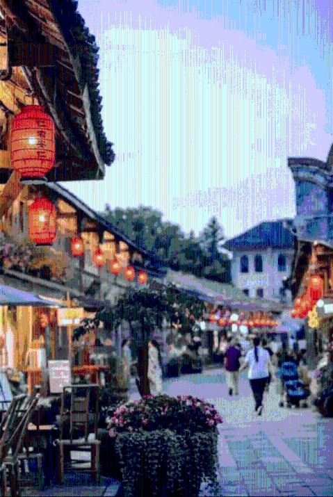逃离梦想花园