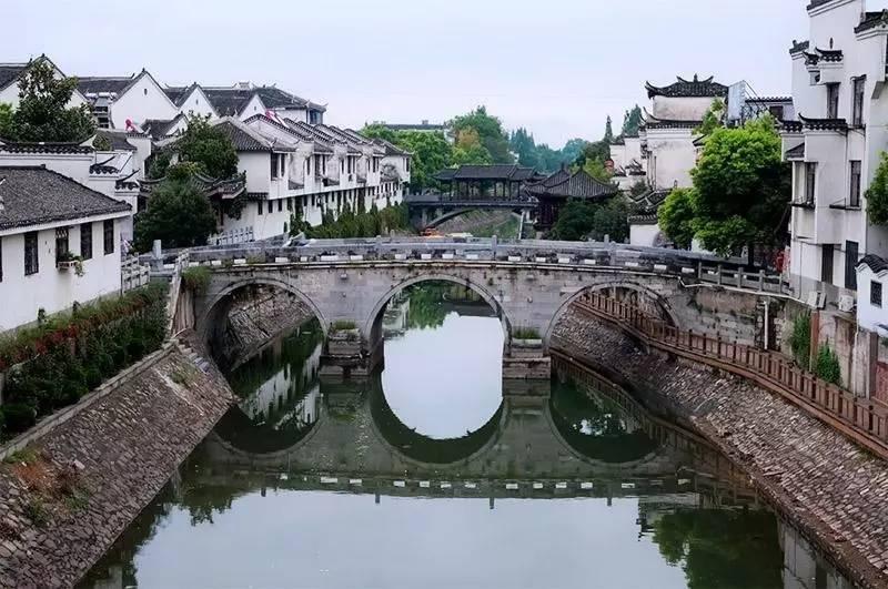 拯救蝙蝠家族