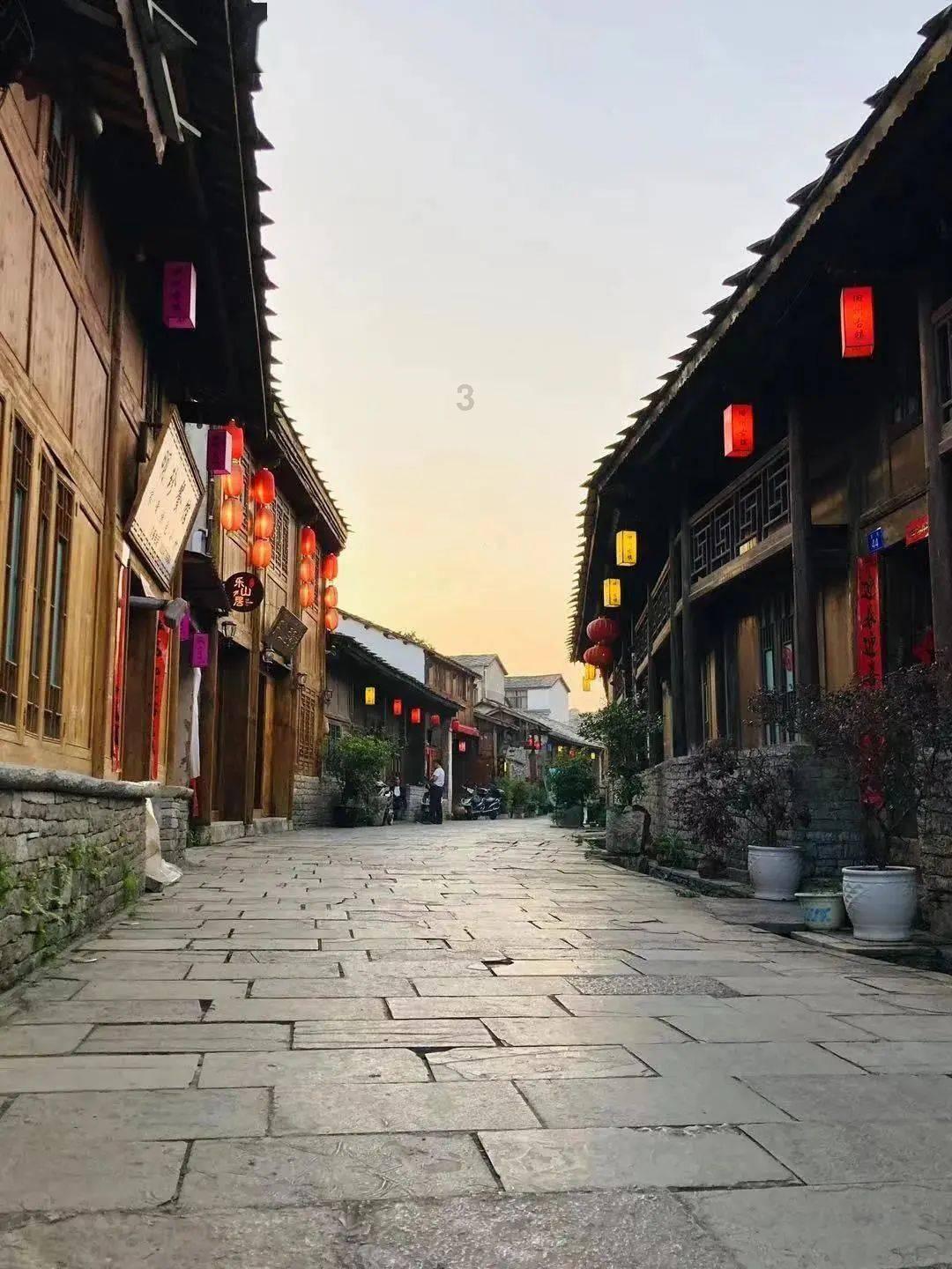动物帮帮忙保卫家园