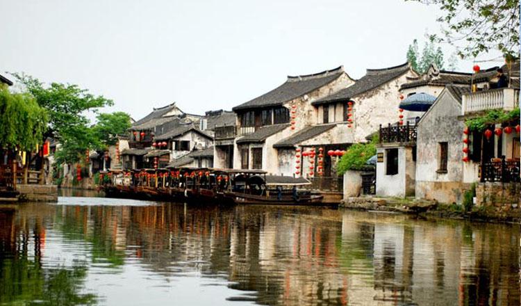 动物帮帮忙保卫家园