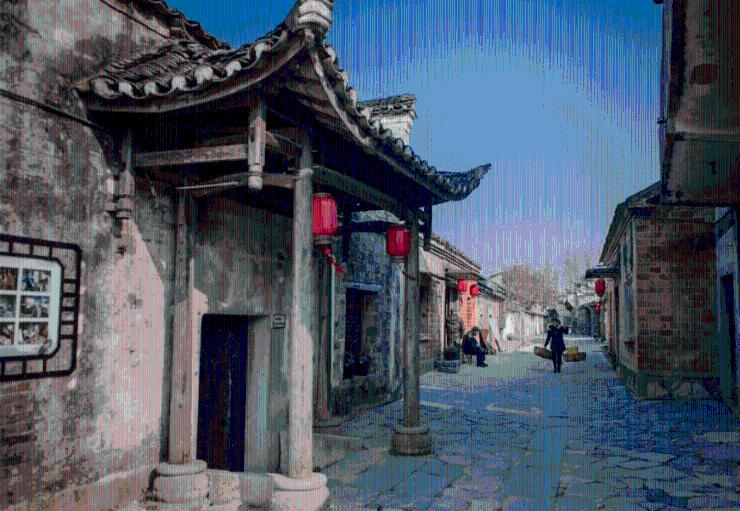 原始丛林找星星