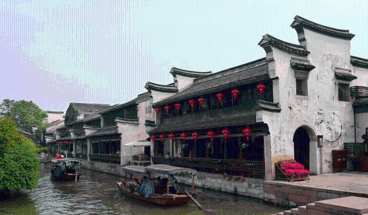 春雨直播app