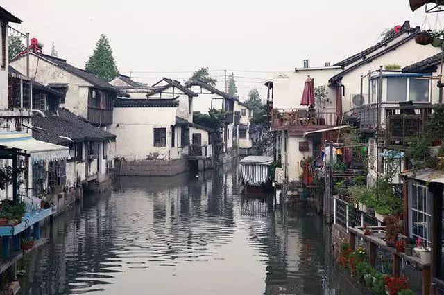 全民剧本大师内置菜单