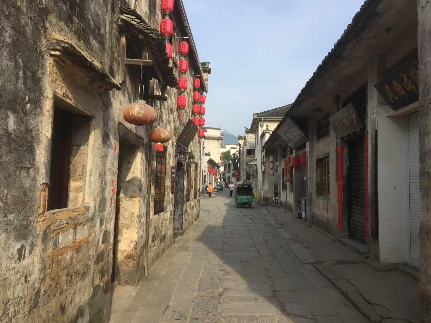逃离泰莱森林
