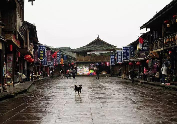 两会会客厅丨省人大代表、益阳市委书记陈竞:继续奋力书写新时代高标准的“山乡巨变”