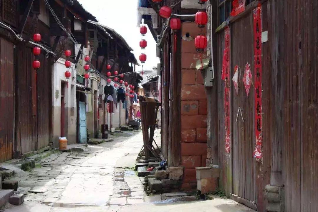 拯救巧虎3