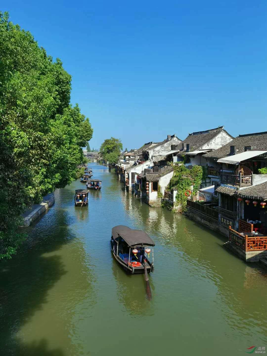 燃烧吧大脑免广告最新版