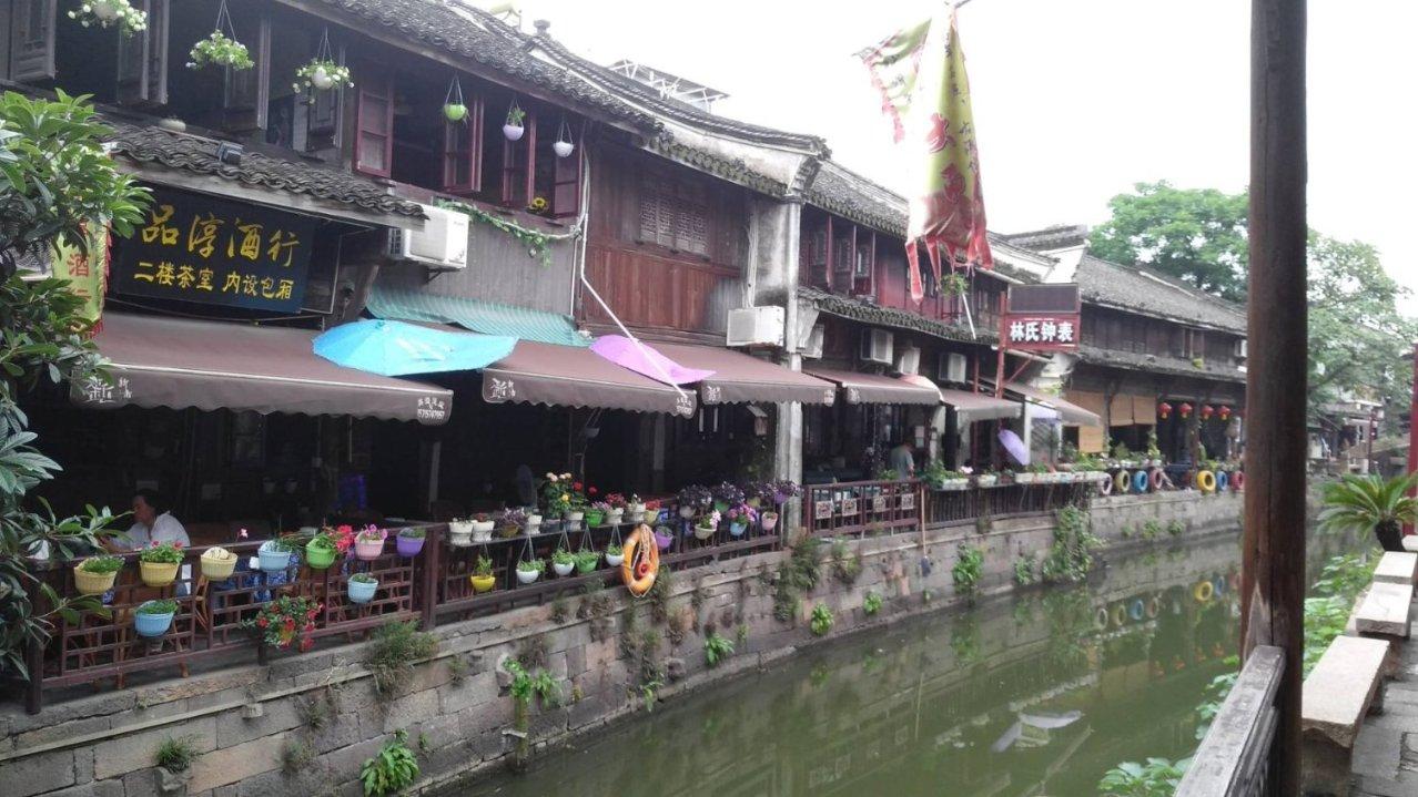 猪场怼怼乐