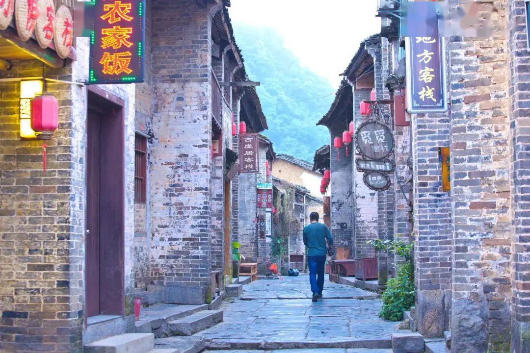 小鸡要回家