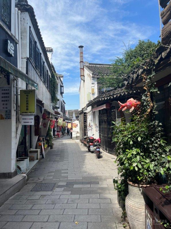 救援瓢虫宝宝