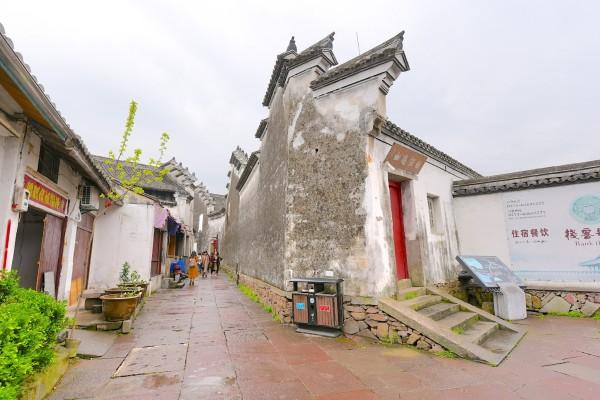 动物帮帮忙保卫家园