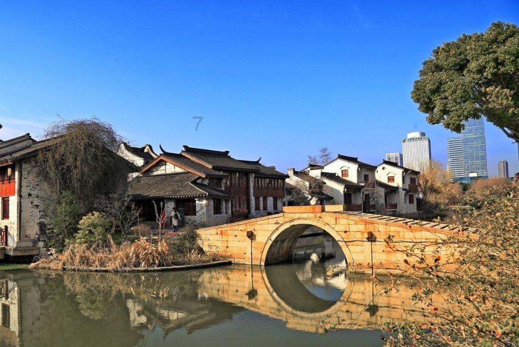 动物帮帮忙保卫家园
