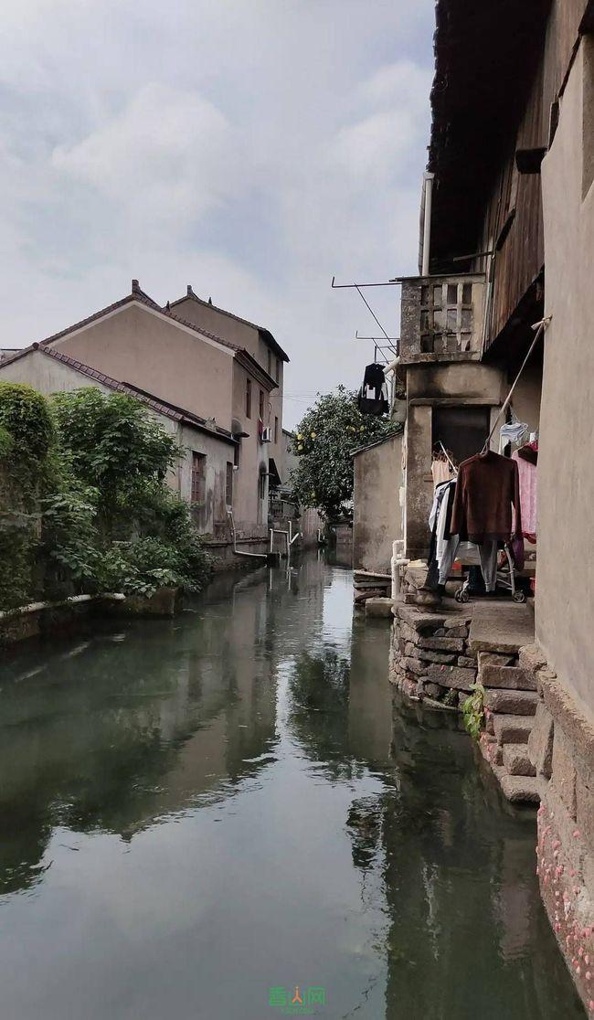 虫虫助手下载
