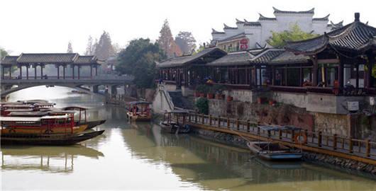 逃离大犀牛出没地
