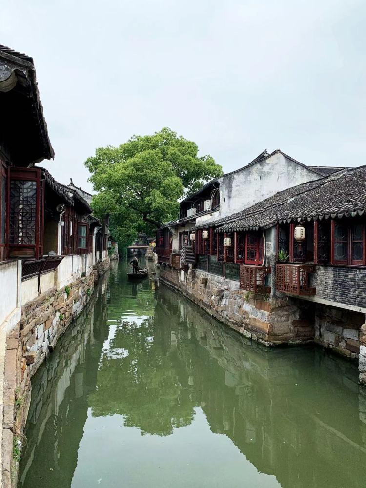 饿狮救援