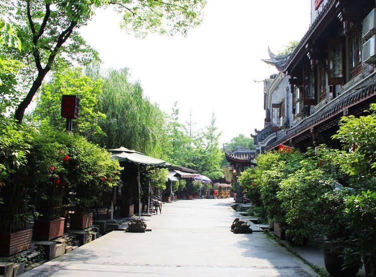 虫虫助手下载