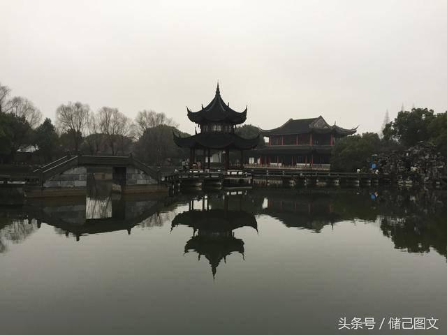 动物帮帮忙保卫家园