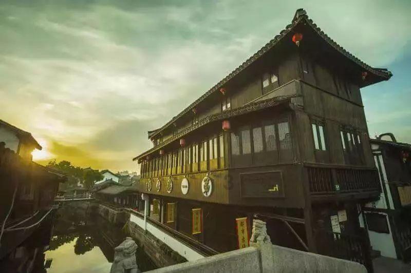动物帮帮忙保卫家园