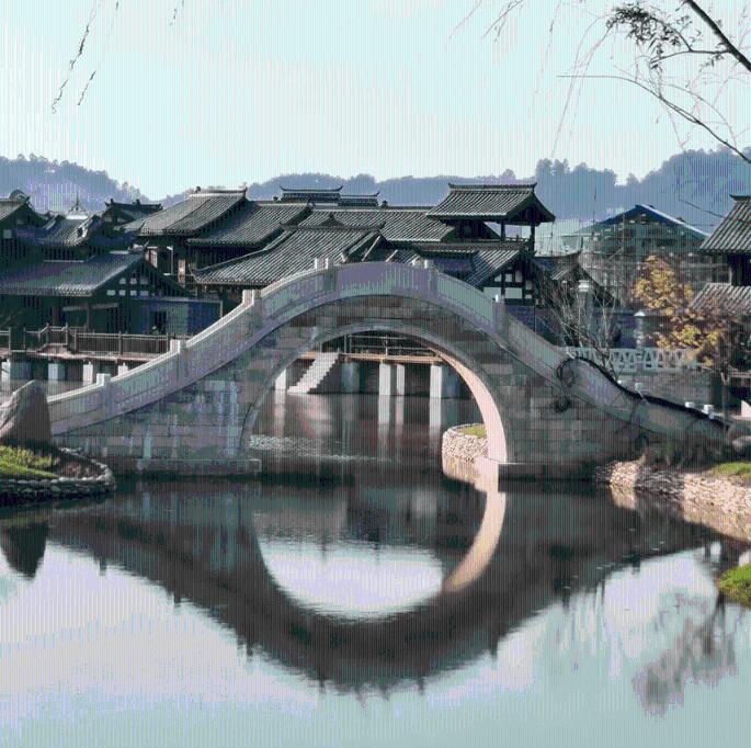 动物帮帮忙保卫家园