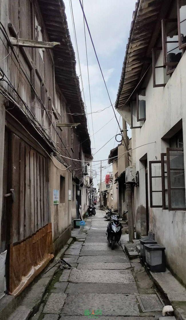 虫虫助手下载