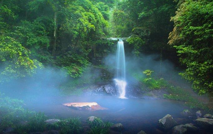 沪江开心词场