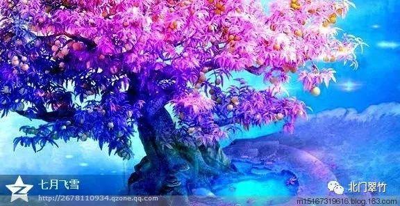 召唤神龙万宁版祖龙