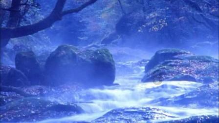 开阳县花梨镇:耙耙柑挂满枝头 果农甜蜜迎丰收