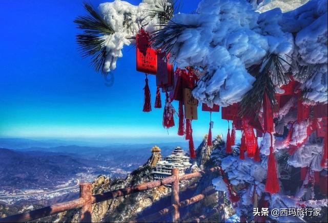 花与剑