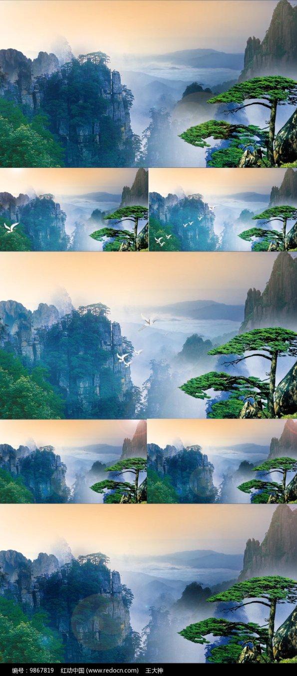 月光影视