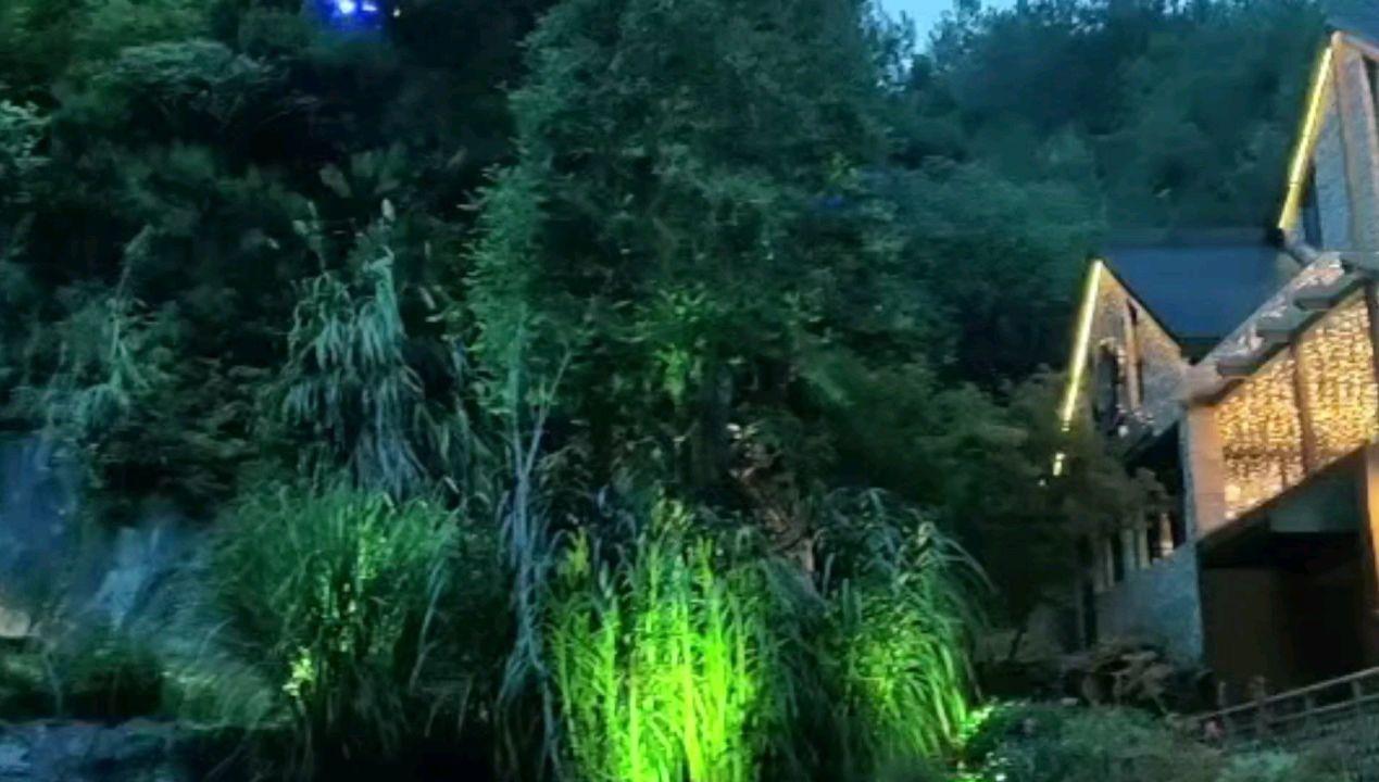 感受江南水乡传统年味 乌镇景区推出春节系列活动